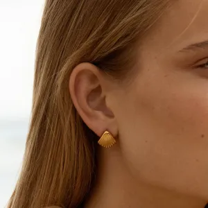 Seashell Earrings