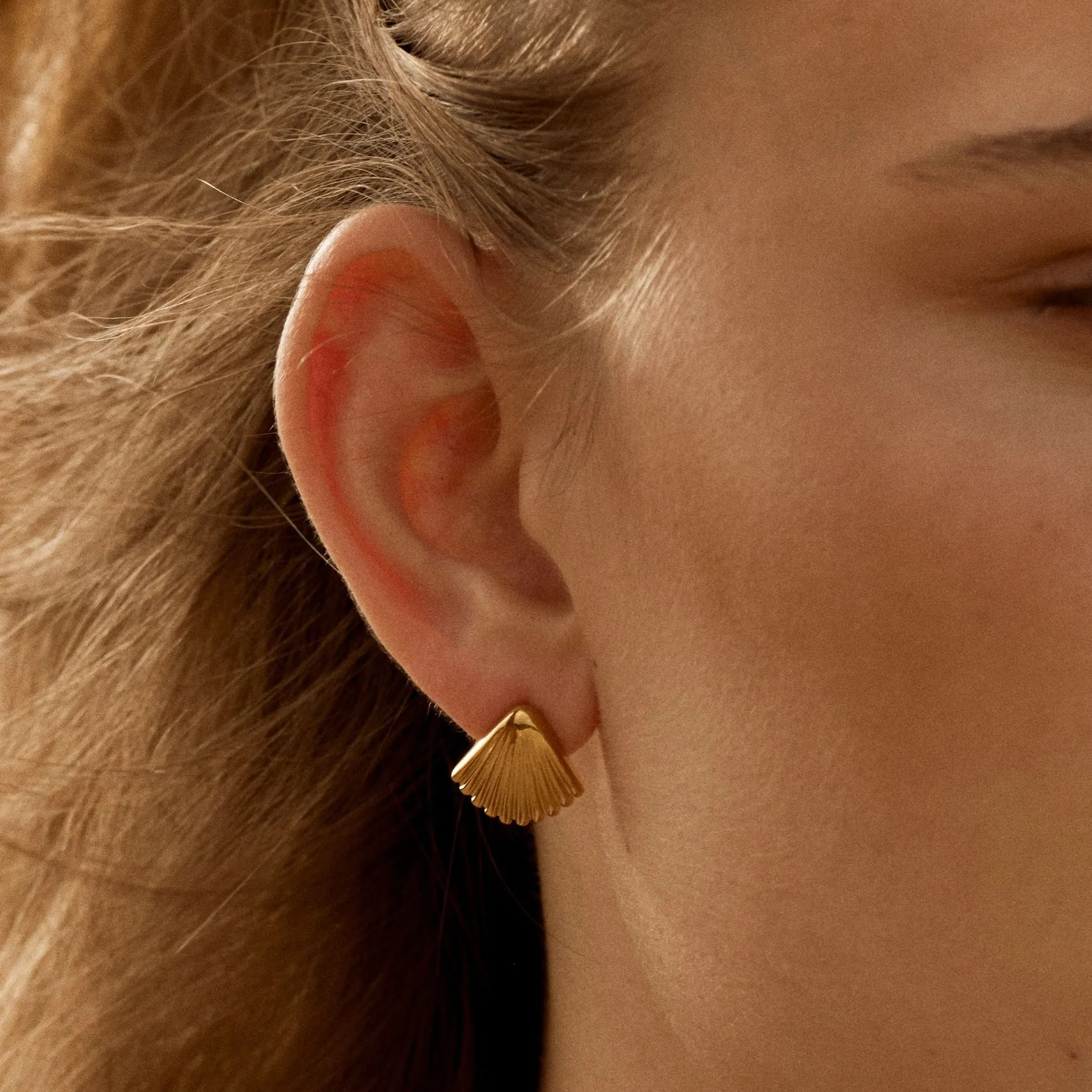 Seashell Earrings