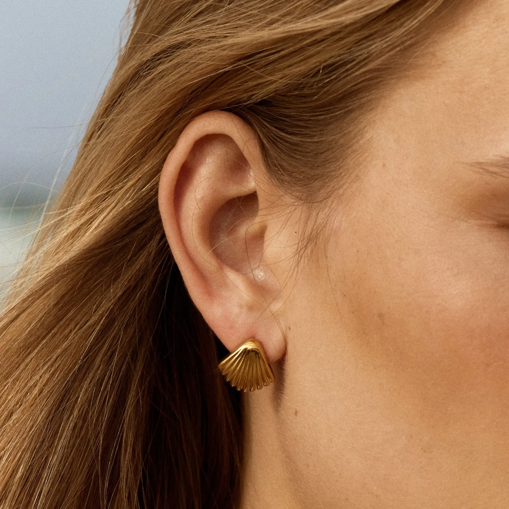Seashell Earrings