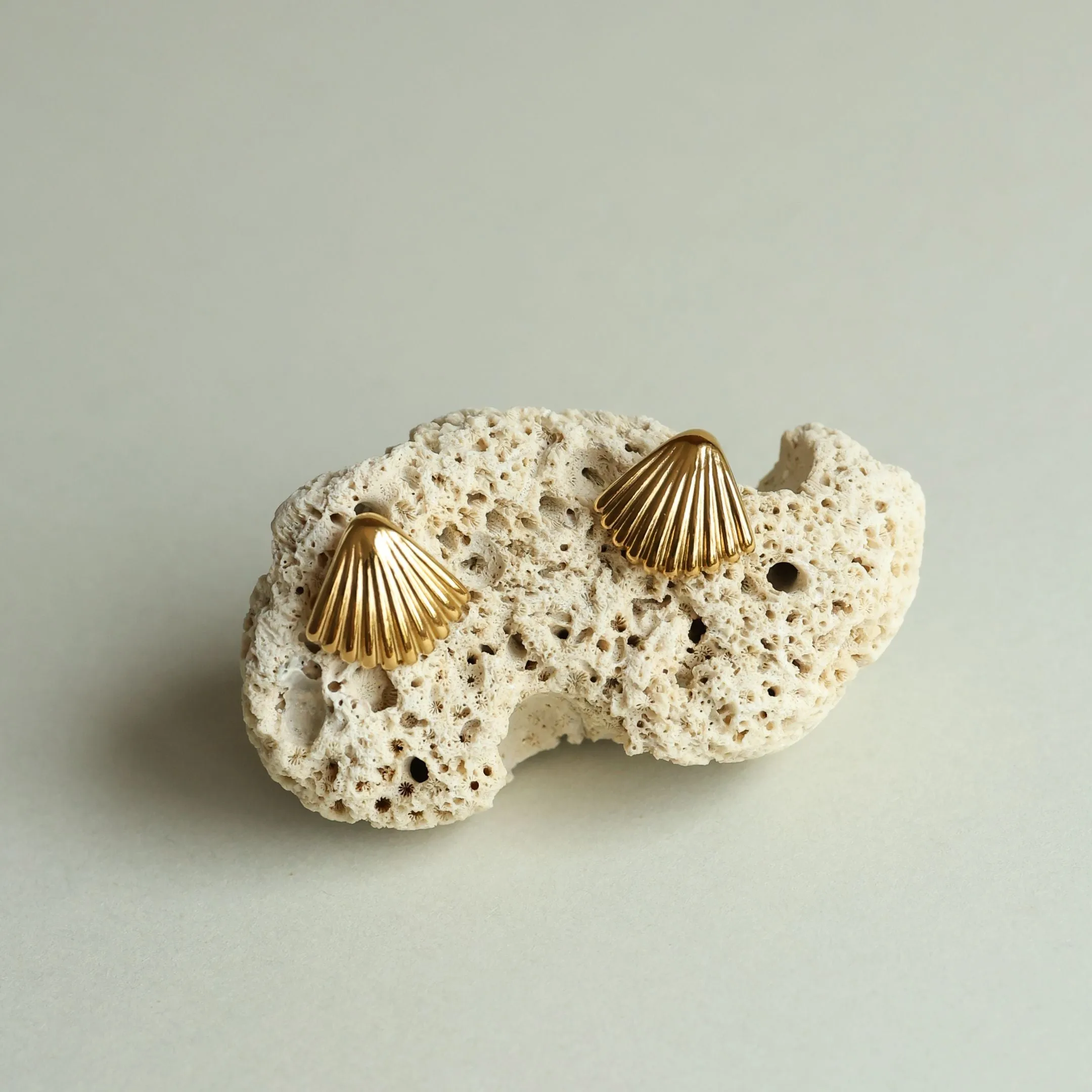 Seashell Earrings