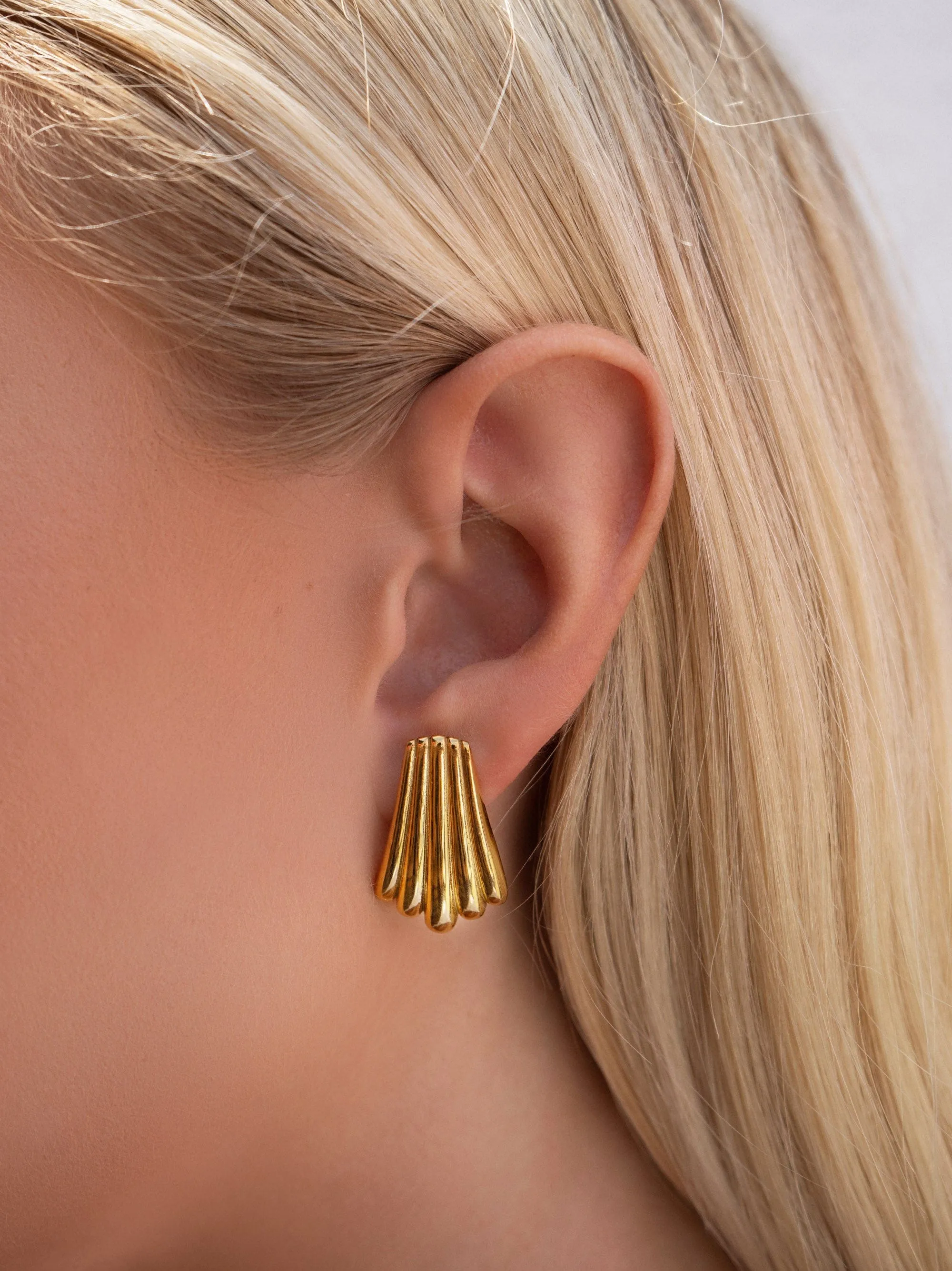 Women's Gold Calico Shell Earrings